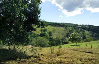 Imagem 9: Fazenda 53 Alqueires 20 km Niquelândia Goiás