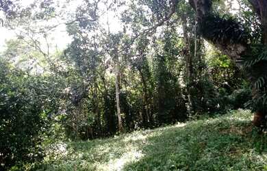 Imagem 6: Super terreno rico em água apenas 600 MTS do asfalto e ponto de ônibus