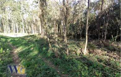 Imagem: O terreno possui 20.000m² de Área e está localizado em Centro