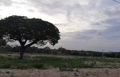 Imagem 1: Loteamento mãe Rainha Urbanismo últimas unidades CAUCAIA