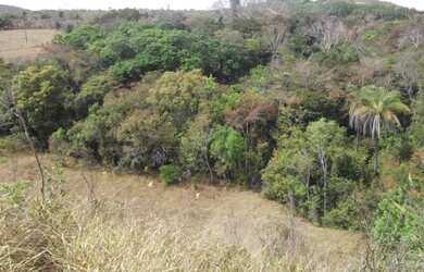 Imagem: A chácara e está localizado em Jaboticatubas, MG à venda