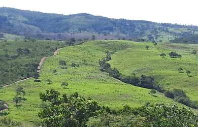 Imagem 5: Fazenda em Corumbaíba