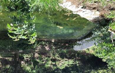 Imagem 1: VENDO FAZENDA 127 hectares