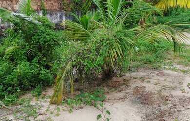 Imagem 9: Terreno para venda tem 1200 m² na Litorânea em Olho D x27 Água - São...