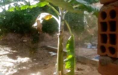 Imagem: A casa possui 1 Dormitório, 1 Banheiro, 1 Vaga na garagem e