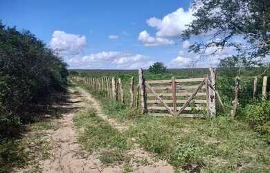 Imagem: A fazenda possui 479.160m² de Área e está localizado em