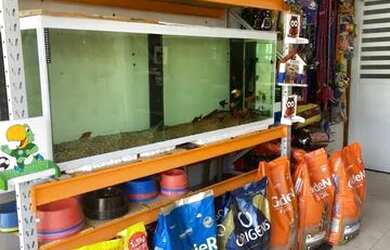 Imagem 13: Petshop em Amargosa. 30m² de Área