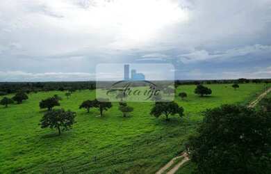 Imagem 8: Formoso do Araguaia - Fazenda - Setor Central