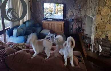 Imagem 3: Vista única em um bairro encantador! Você é investidor ou se está a procura de um imóvel