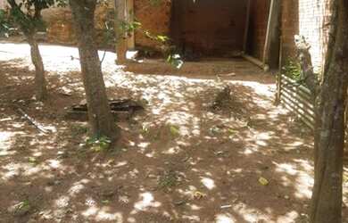 Imagem 5: Terreno para Venda em Araucária, Campina da Barra