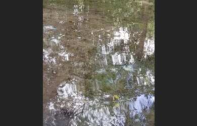 Imagem: A casa possui 2 Dormitórios, 1 Banheiro, 245m² de Área e