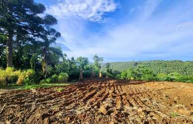 Imagem 7: Terreno para Venda em Nova Petrópolis, Linha Olinda