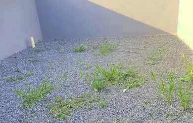 Imagem 2: SANTA RITA DO ZARUR