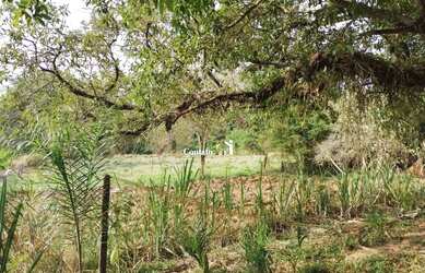 Imagem 8: Vende-se ÁREA Dom Pedro I