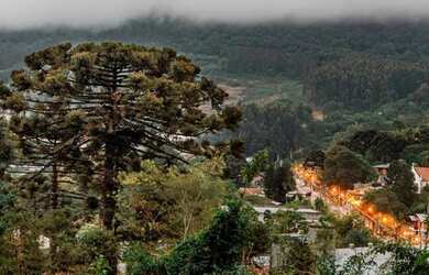 Imagem 6: Terreno - Bairro Várzea Grande