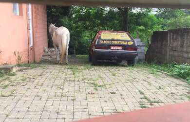 Imagem 4: Terreno 1.480m2. 1.480m² de Área