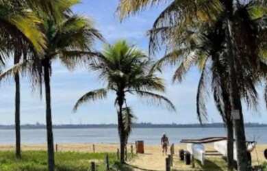 Imagem: O apartamento para alugar possui 1 Dormitório, 1 Banheiro