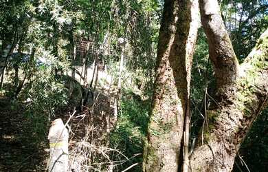 Imagem 8: Super terreno rico em água apenas 600 MTS do asfalto e ponto de ônibus