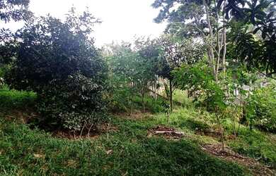 Imagem: O terreno possui 2.450m² de Área e está localizado em Juquitiba