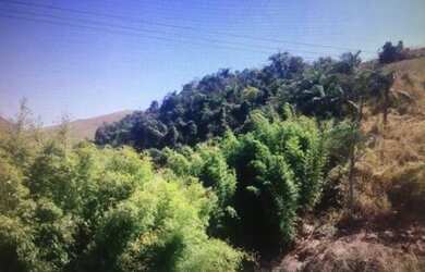 Imagem 14: Fazenda - 100 alqueires - Pasto Braquiara, Pedreira, água rio Paraíba