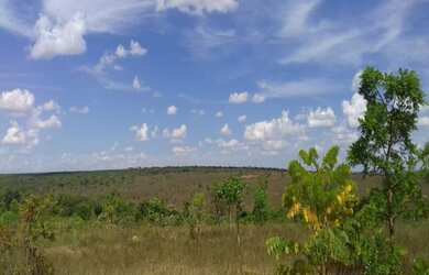 Imagem: A fazenda possui 254m² de Área e está localizado em Três
