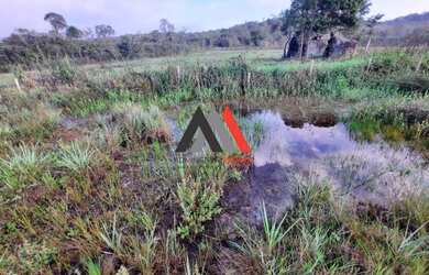 Imagem 14: Terreno 10.000 m² 100 aproveitável