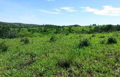 Imagem 8: Fazenda em Corumbaíba