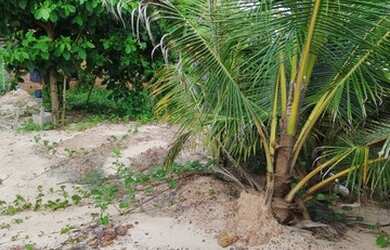 Imagem 11: Terreno para venda tem 1200 m² na Litorânea em Olho D x27 Água - São...