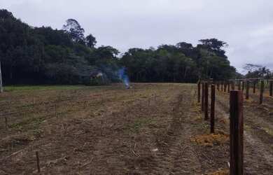 Imagem 14: Fazenda na pista Rodovia BR174, entre Km 60 e 63. 2.449ha com 3.900mts...