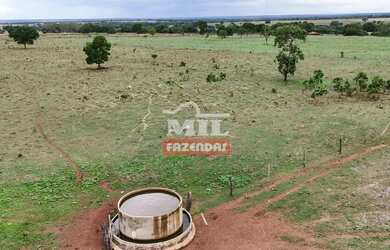 Imagem 13: Fazenda 57,3 alqueires 277,33 hectares São Miguel do Araguaia - Go