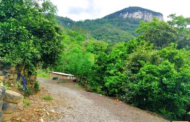 Imagem 6: Sítio / Chácara para Venda em Nova Petrópolis, Linha Riachuelo, 3 dormitórios,...