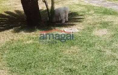 Imagem 4: Edícula em Jacareí, no bairro Jardim Flórida, à venda