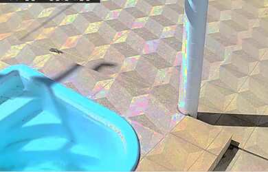 Imagem 2: Casa pra alugar por temporada pontal do peba