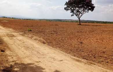 Imagem 9: Fazenda de 625 Hectares de Terras de Cultura e Cerrado Vermelho, Muita...