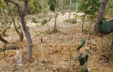 Imagem: A chácara possui 1.000m² de Área e está localizado em Jaboticatubas