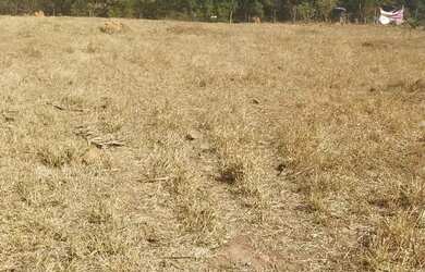 Imagem 11: Venda de lote. 3.500m² de Área