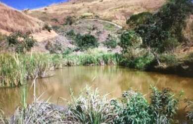 Imagem 3: Fazenda - 100 alqueires - Pasto Braquiara, Pedreira, água rio Paraíba