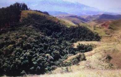 Imagem 8: Fazenda - 100 alqueires - Pasto Braquiara, Pedreira, água rio Paraíba