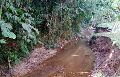 Imagem 2: Super terreno rico em água apenas 600 MTS do asfalto e ponto de ônibus