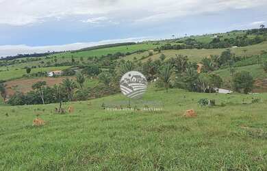 Imagem: Machadinho D x27 Oeste - Sítio - 42 Alqueires