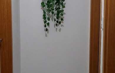 Imagem 3: Apartamento por temporada perto das Praias Litoral Sul