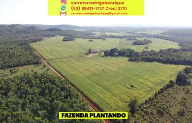 Imagem: A fazenda possui 338.000m² de Área e está localizado em