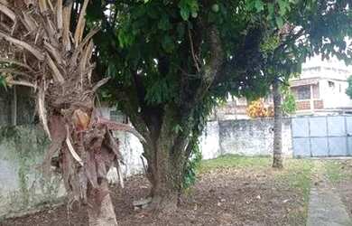 Imagem 9: Casa no Coelho Localização Excelente e Terreno bem Grande