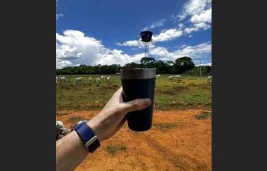 Imagem 10: Fazenda em piracanjuba. 100.000m² de Área