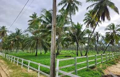 Imagem 6: Condomínio Country Mar. Churrasqueira, Vista para o mare964m² de Área