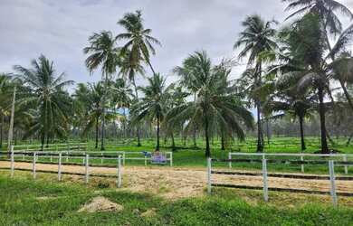Imagem 3: Condomínio Country Mar. Churrasqueira, Vista para o mare964m² de Área