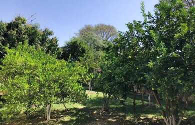 Imagem: A casa possui 2 Dormitórios, 2 Banheiros, 1 Vaga na garagem