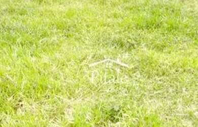 Imagem 14: Terreno à venda, 10200 m² por R$ 159.000 - Itatiaia - Itatiaia/RJ