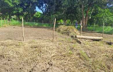 Imagem 6: Vendo ou troco terreno por moto ou carro