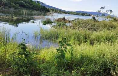 Imagem 5: Excelente Terreno Balneário Bico da Pedra